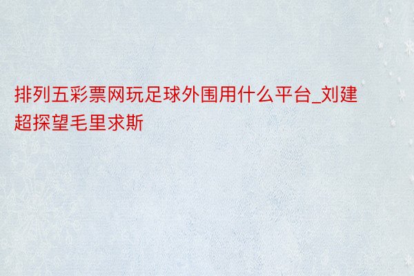 排列五彩票网玩足球外围用什么平台_刘建超探望毛里求斯