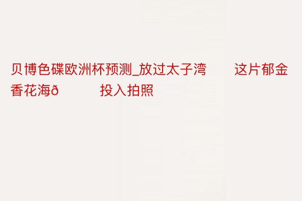 贝博色碟欧洲杯预测_放过太子湾‼️这片郁金香花海🉑投入拍照‼️